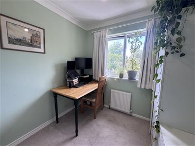 Picture 14